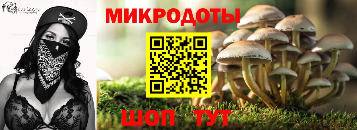 Кызыл  Галлюциногенные грибы прущие грибы  Вход с VPN 